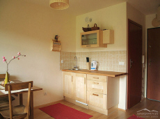 Bory I посуточная долгосрочная аренда квартир в Польше горы Татры Закопане