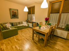 Bory I посуточная долгосрочная аренда квартир в Польше горы Татры Закопане