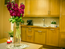 Bory I посуточная долгосрочная аренда квартир в Польше горы Татры Закопане