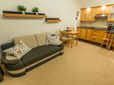 Kościelisko посуточная долгосрочная аренда квартир в Польше горы Татры Закопане