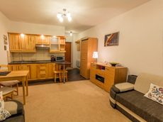 Kościelisko посуточная долгосрочная аренда квартир в Польше горы Татры Закопане